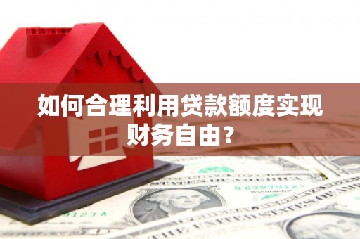 云龙如何合理利用贷款额度实现财务自由？