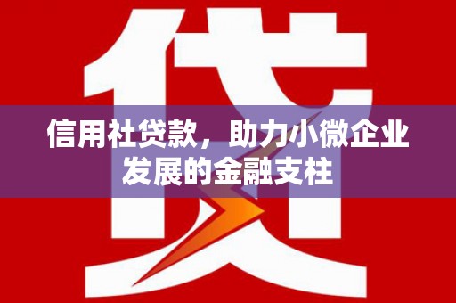 云龙信用社贷款，助力小微企业发展的金融支柱
