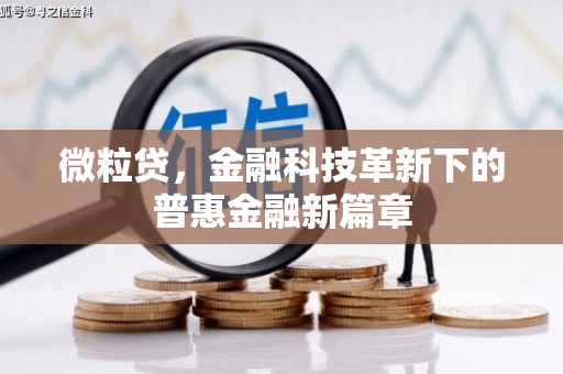 云龙微粒贷，金融科技革新下的普惠金融新篇章