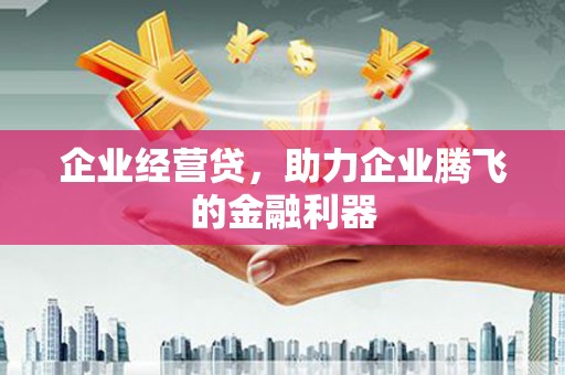 云龙企业经营贷，助力企业腾飞的金融利器