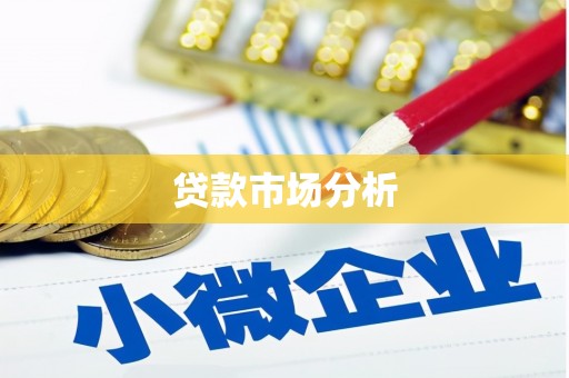 云龙贷款市场分析