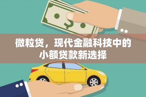 云龙微粒贷，现代金融科技中的小额贷款新选择