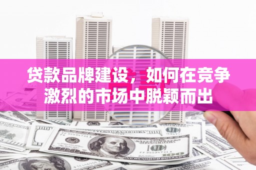 云龙贷款品牌建设，如何在竞争激烈的市场中脱颖而出