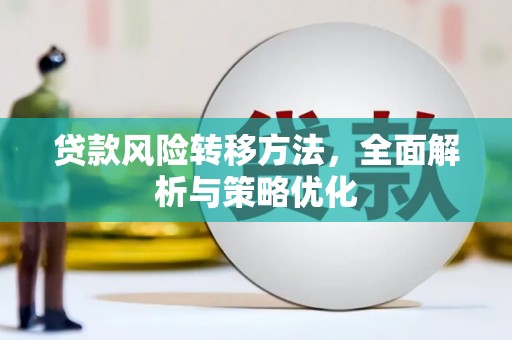 云龙贷款风险转移方法，全面解析与策略优化