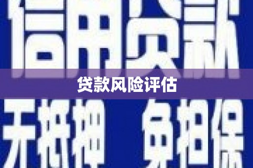 云龙贷款风险评估