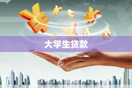 云龙大学生贷款