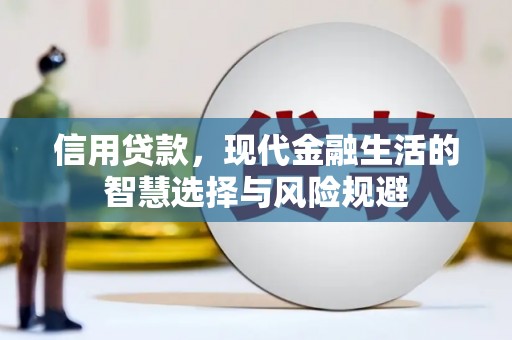 云龙信用贷款，现代金融生活的智慧选择与风险规避