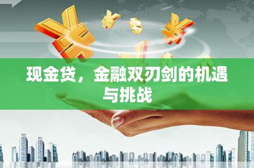 云龙现金贷，金融双刃剑的机遇与挑战