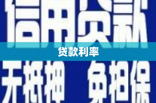 云龙贷款利率
