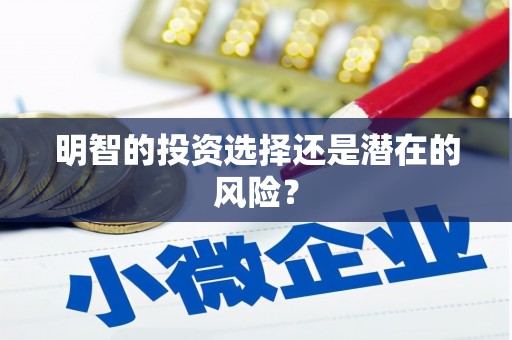 云龙明智的投资选择还是潜在的风险？