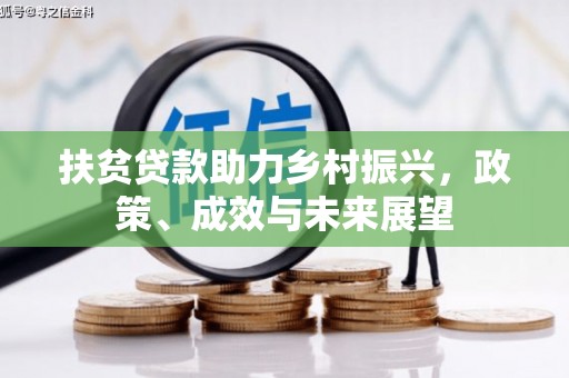 云龙扶贫贷款助力乡村振兴，政策、成效与未来展望