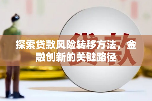 云龙探索贷款风险转移方法，金融创新的关键路径