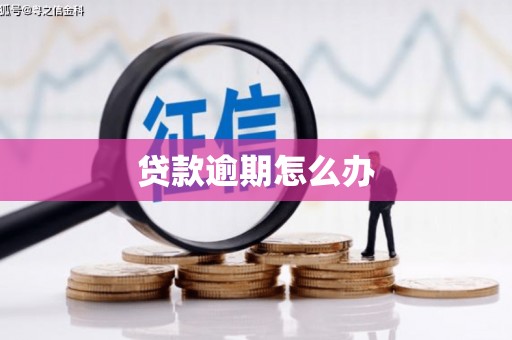 云龙贷款逾期怎么办