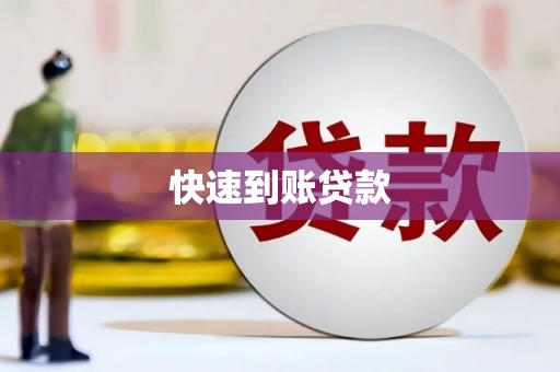 云龙快速到账贷款
