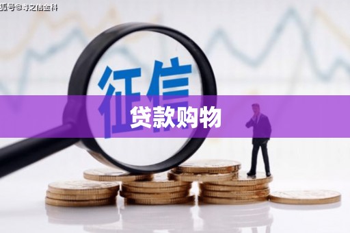云龙贷款购物