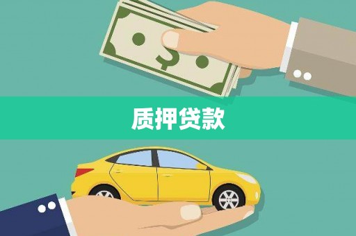 云龙质押贷款