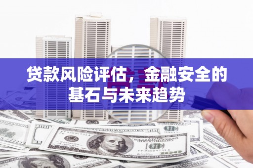 云龙贷款风险评估，金融安全的基石与未来趋势