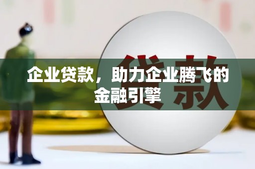 云龙企业贷款，助力企业腾飞的金融引擎