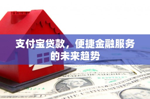 云龙支付宝贷款，便捷金融服务的未来趋势