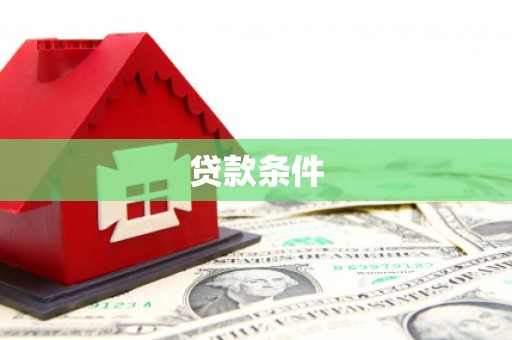 云龙贷款条件