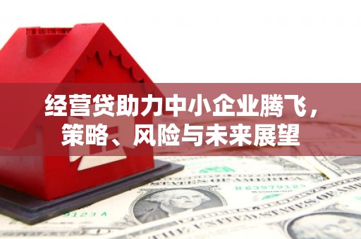 云龙经营贷助力中小企业腾飞，策略、风险与未来展望