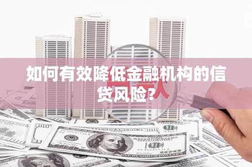 云龙如何有效降低金融机构的信贷风险？