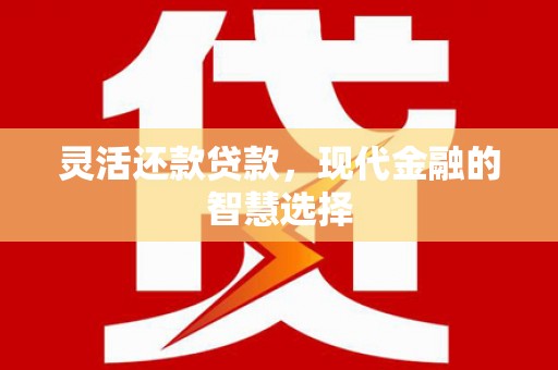 云龙灵活还款贷款，现代金融的智慧选择