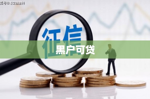 云龙黑户可贷
