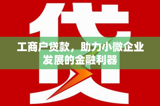 云龙工商户贷款，助力小微企业发展的金融利器