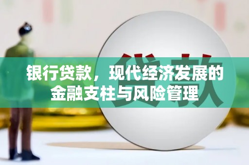 云龙银行贷款，现代经济发展的金融支柱与风险管理