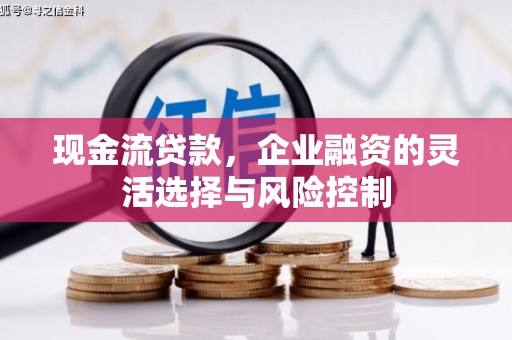 云龙现金流贷款，企业融资的灵活选择与风险控制