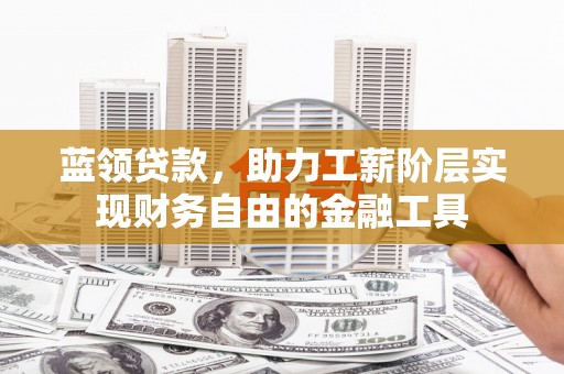 云龙蓝领贷款，助力工薪阶层实现财务自由的金融工具