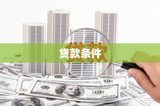 云龙贷款条件