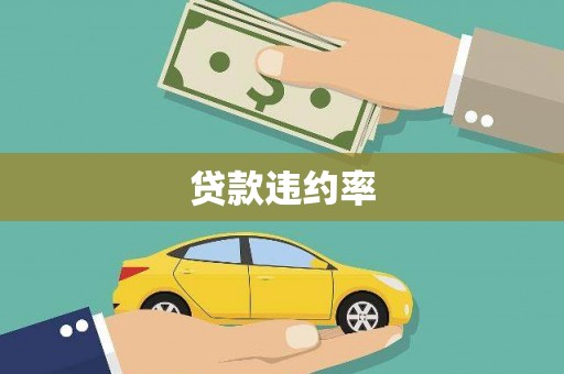 云龙贷款违约率