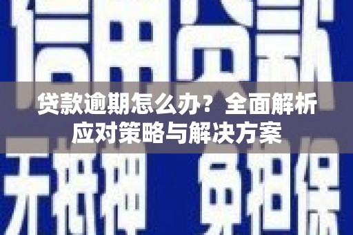 云龙贷款逾期怎么办？全面解析应对策略与解决方案