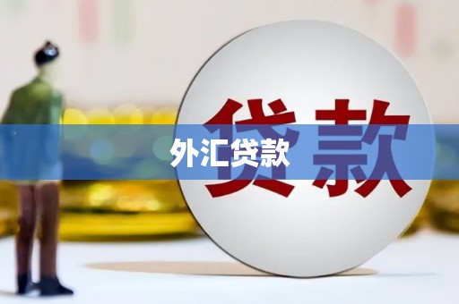 云龙外汇贷款