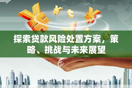 云龙探索贷款风险处置方案，策略、挑战与未来展望