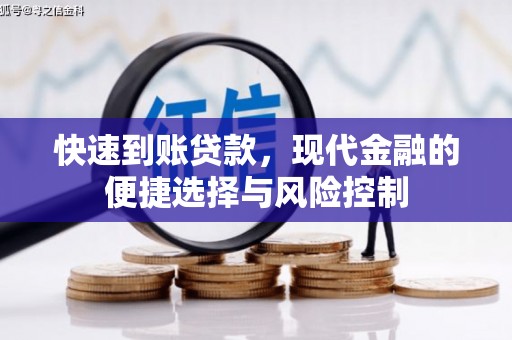 云龙快速到账贷款，现代金融的便捷选择与风险控制