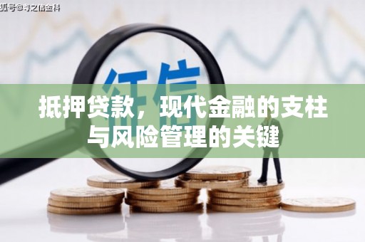 云龙抵押贷款，现代金融的支柱与风险管理的关键