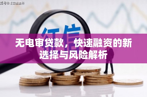 云龙无电审贷款，快速融资的新选择与风险解析