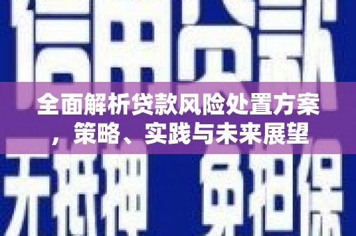 云龙全面解析贷款风险处置方案，策略、实践与未来展望