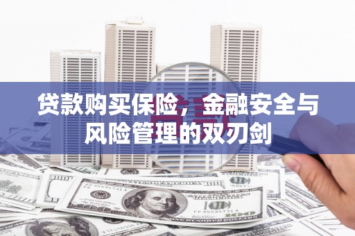 云龙贷款购买保险，金融安全与风险管理的双刃剑