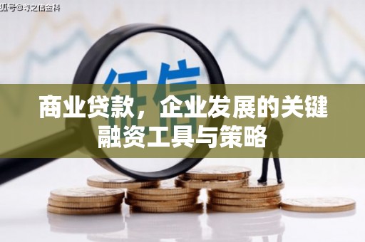 云龙商业贷款，企业发展的关键融资工具与策略