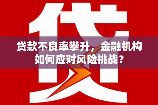 云龙贷款不良率攀升，金融机构如何应对风险挑战？