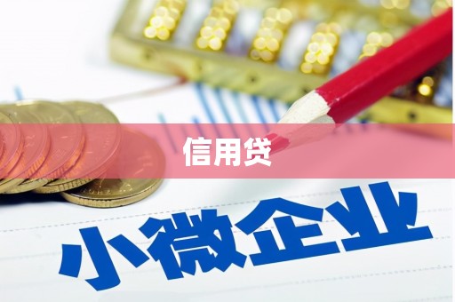 云龙信用贷