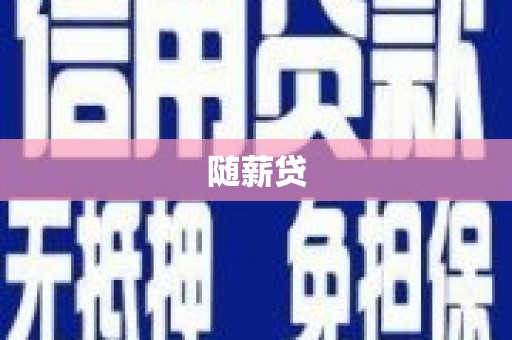 云龙随薪贷