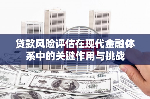 云龙贷款风险评估在现代金融体系中的关键作用与挑战