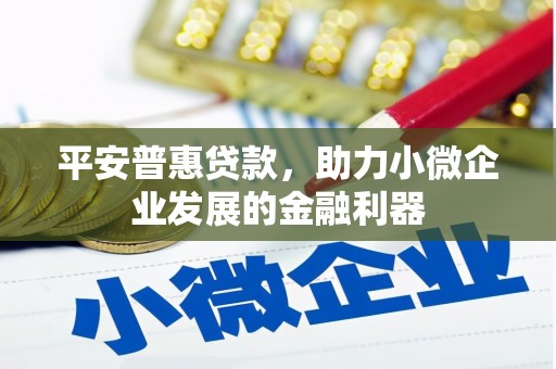云龙平安普惠贷款，助力小微企业发展的金融利器