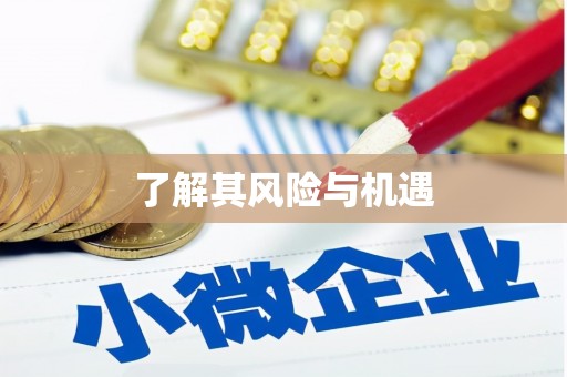 云龙了解其风险与机遇