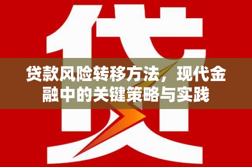 云龙贷款风险转移方法，现代金融中的关键策略与实践